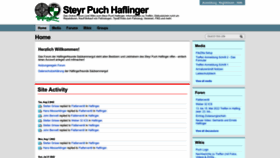 What Haflingereins.com website looked like in 2022 (2 years ago)