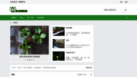 What Hkplants.com website looked like in 2022 (1 year ago)