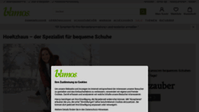 What Hoeltzhaus.de website looked like in 2022 (1 year ago)