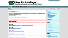 What Haflingereins.com website looked like in 2023 (2 years ago)