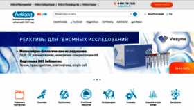 What Helicon.ru website looked like in 2023 (1 year ago)