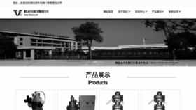 What Hbvalve.com.cn website looked like in 2023 (1 year ago)