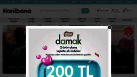 What Hanibana.com website looked like in 2023 (1 year ago)