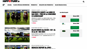 What Hippoturf.fr website looked like in 2023 (This year)