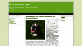 What Hundetraining.net website looked like in 2023 (This year)