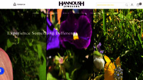What Hannoush.com website looked like in 2023 (This year)