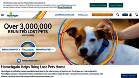 What Homeagain.com website looked like in 2023 (This year)