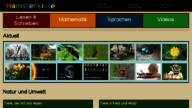 What Hamsterkiste.de website looked like in 2023 (This year)