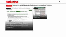 What Haskenews.com.ng website looked like in 2023 (This year)