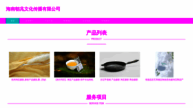 What Hnchaozhao.com website looked like in 2023 (This year)
