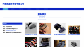 What Hnxuyuanshu.com website looked like in 2023 (This year)