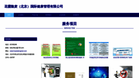 What Huaxialongmai.com website looked like in 2023 (This year)