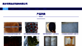 What Huibopicao.com website looked like in 2023 (This year)