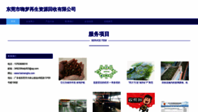 What Haimenghs.com website looked like in 2023 (This year)