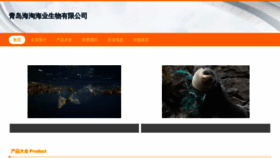 What Haitao618.com website looked like in 2023 (This year)