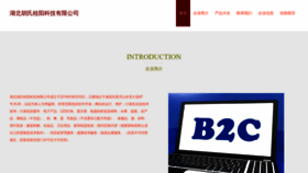 What Hsgy1234.com website looked like in 2023 (This year)