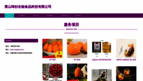 What Hsqsfood.com website looked like in 2023 (This year)
