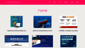 What Hebeishandianda.com website looked like in 2023 (This year)