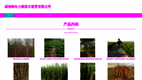 What Haidongxiaodai.com website looked like in 2023 (This year)