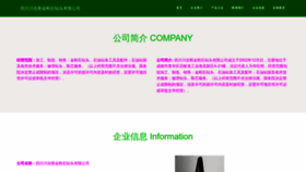 What Hjizsi.com website looked like in 2023 (This year)