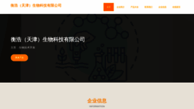 What Henghaopay.com website looked like in 2023 (This year)