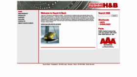 What Haubac.com website looked like in 2023 (This year)
