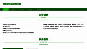What Hbshunzhi.com website looked like in 2023 (This year)