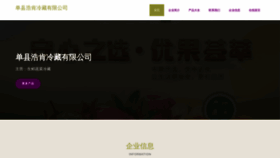 What Haokind.com website looked like in 2023 (This year)
