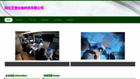 What Hbaifei.com website looked like in 2023 (This year)