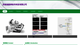 What Hanjiahua.com website looked like in 2023 (This year)