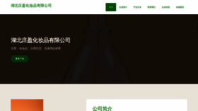 What Hbzhuangying.com website looked like in 2023 (This year)