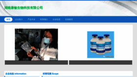 What Hnkangmin.com website looked like in 2023 (This year)