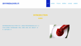 What Hzhailian.com website looked like in 2023 (This year)
