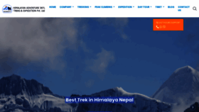 What Himalayanadventureintl.com website looked like in 2023 (This year)
