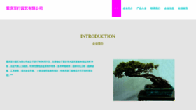 What Haizhixinglvyou.cn website looked like in 2023 (This year)