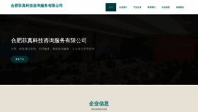 What Hfezd.cn website looked like in 2023 (This year)