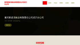 What Hgsnkw.cn website looked like in 2023 (This year)