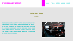 What Hhhbhft.cn website looked like in 2023 (This year)