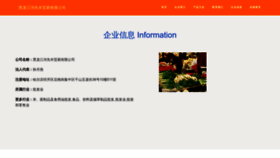 What Hljtnc.cn website looked like in 2023 (This year)