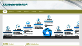 What Hllss.cn website looked like in 2023 (This year)