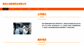 What Hlsynw.cn website looked like in 2023 (This year)