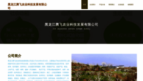 What Hljtfz.cn website looked like in 2023 (This year)