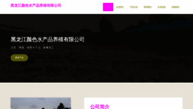 What Hllygs.cn website looked like in 2023 (This year)