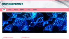 What Hlslxw.cn website looked like in 2023 (This year)