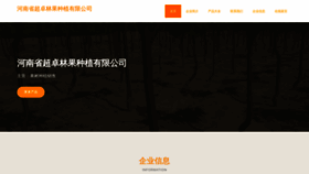 What Hn335.cn website looked like in 2023 (This year)