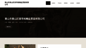 What Hssxgaj.cn website looked like in 2023 (This year)