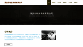 What Htclothes.cn website looked like in 2023 (This year)