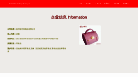 What Hzchike.cn website looked like in 2023 (This year)