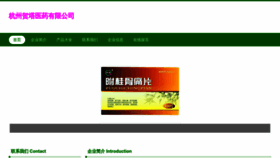 What Hzhta.cn website looked like in 2023 (This year)