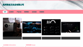 What Hzzeg.cn website looked like in 2023 (This year)